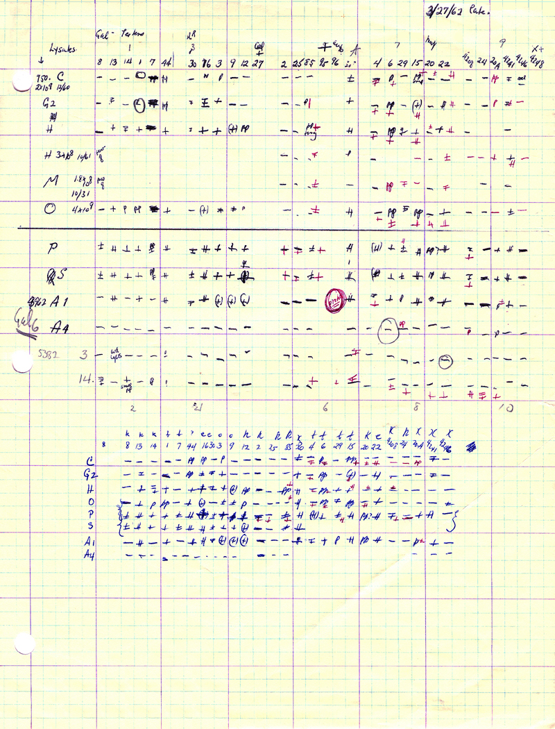 X088 Gal- Lysates 3-27-62 p1